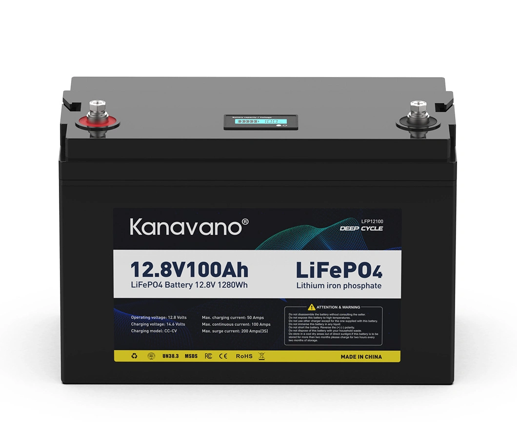 Waterproof 12.8V 100Ah Lithium Ion Phosphate Deep Cycle LiFePO4 Battery Pack for Solar Energy Storage