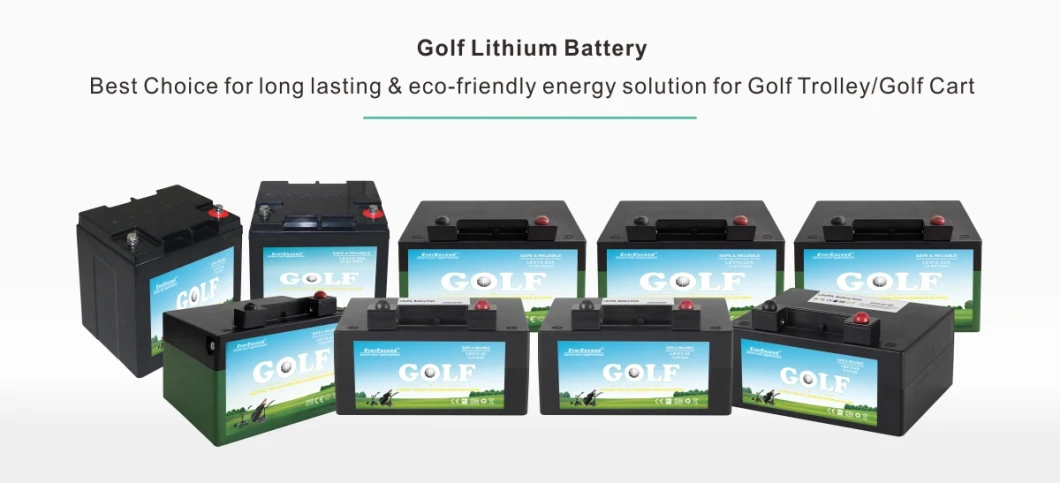 Factory Lithium Battery 12V24ah LiFePO4 Pack for Solar Engergy Storage/RV/Golf Cart/Campers