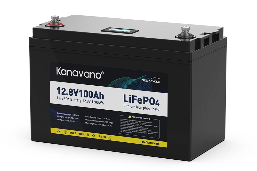 Waterproof 12.8V 100Ah Lithium Ion Phosphate Deep Cycle LiFePO4 Battery Pack for Solar Energy Storage