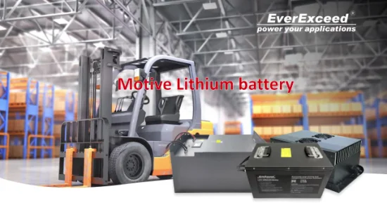 Pacchetto batteria al litio di fabbrica 12V24ah LiFePO4 per accumulo di energia solare/camper/carrello da golf/camper